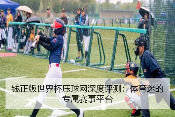 钱正版世界杯压球网深度评测：体育迷的专属赛事平台